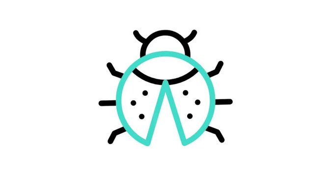 state potato beetle icon animated videos