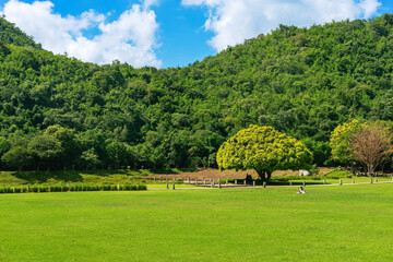 Fototapeta na wymiar Beautiful view of nature with green grass, lush trees, mountain and sky. Beautiful landscape, fresh trees forest, green grass field, scenery valley in the mountains, Cloud blue sky, Green Landscape.