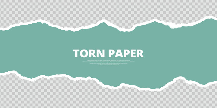Abstract torn, paper teal, color ripped, paper, background banner, poster, design vector file
