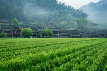 Crédence de cuisine en verre imprimé Guilin Empty green field Chinese village on background.