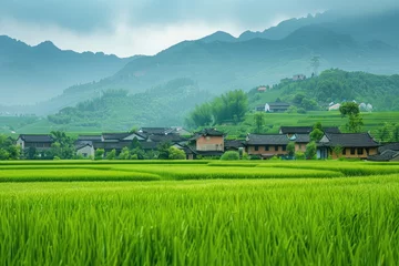 Washable wall murals Guilin Empty green field Chinese village on background.