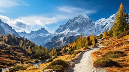  Beautiful mountain landscape with autumn forest nature © BornHappy