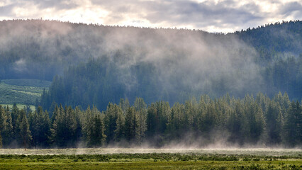 Yellowstone River in the morning