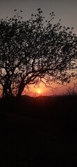 Fototapeta premium sunset