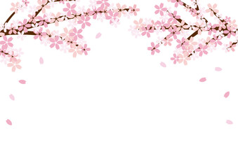 桜　フレーム　　ベクター　シンプル　上