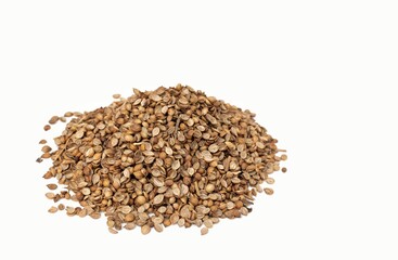 Coriander Seed or Dhania Isolated on White Background with Copy Space, Also Known as Cilantro