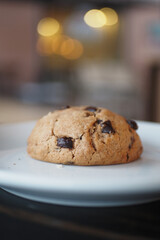 chocolate sweet cookies on a plate 
