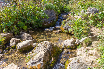 walking along the bed of a mountain river with a visit to unexplored places of the sources of drinking water