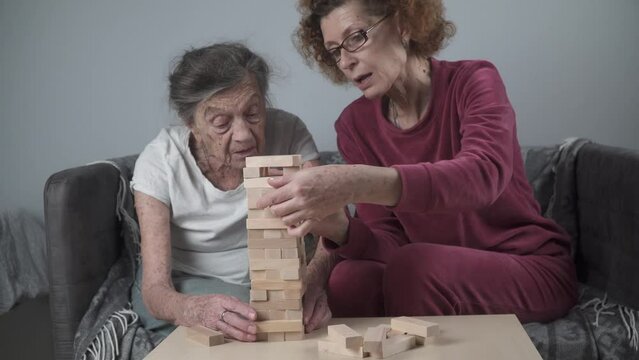 Retired mother and daughter spend time together at home, playing board game and caressing dachshund dog. Caucasian senior woman builds tower of wooden blocks with volunteer assistant in nursing home.