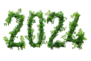 
" 2024 " made of green leaves isolated on white background first person view realistic daylight