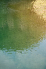 View of the riverside with the ripples and reflection
