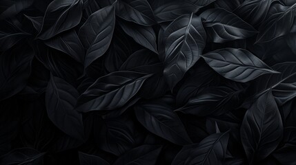 Nature's Mystery: Black Leaves in Soft Focus
