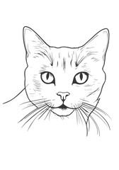 Minimalist cats drawing set.