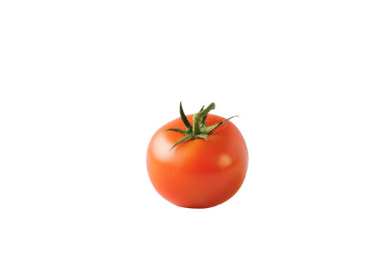 
Isolated tomato. One whole tomato isolated on white background with clipping path isolated on white background Real daytime first person perspective