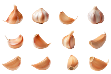 
garlic isolated on a white background Realistic daytime first person perspective