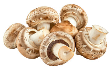 
Fresh whole champignon mushrooms isolated on white background first person view realistic daylight