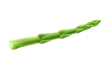 
Fresh green asparagus isolated on white background Realistic daytime first person perspective