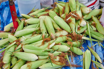 Fresh sweet corn for sale at market