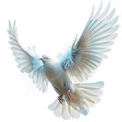 Fototapeta premium Dove of Peace