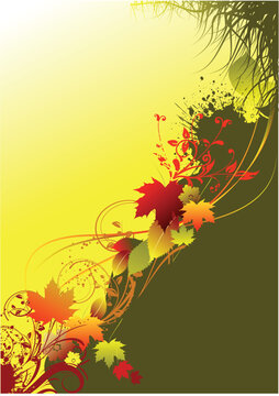 Autumnal leaf background, color vector illustration