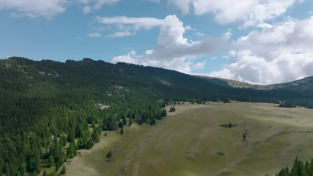 Entering in valley of pine and grass with nice clouds, French Alps
