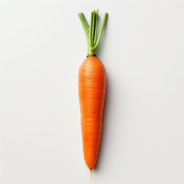 Code-up illustration of vegetables, neatly arranged and separated on a pure white background. This lively image captures the essence of freshness and health.