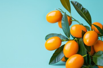 A Bunch of Oranges With Leaves on a Blue Background