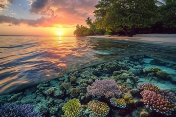  A stunning sunset casts a warm glow over a vibrant coral reef thriving in the ocean, A serene beach sunset with colorful coral reefs beneath the clear waters, AI Generated © Iftikhar alam