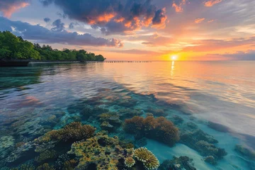  The sun casts a warm glow over the ocean as it sets, illuminating the vibrant colors of the coral reefs, A serene beach sunset with colorful coral reefs beneath the clear waters, AI Generated © Iftikhar alam