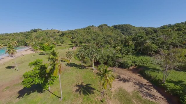 Colorada Beach is a beautiful beach in Samana, Dominican Republic_Fpv shot. Stunning beach with lush trees on the edge. Perfect for a tropical vacation.