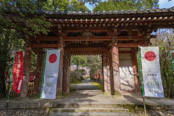 京都 醍醐寺の春景色 日月門