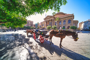 Horse carriage in front of the Massimo theater in Palermo