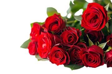 Detailed Red Roses Close-Up Isolated on Transparent Background.
