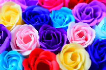 いろいろなカラフルな薔薇の花　テクスチャ素材