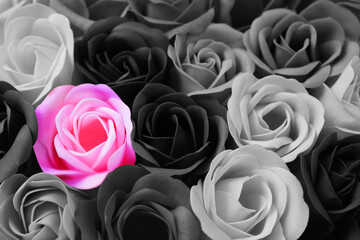 黒い薔薇の花束に一輪のピンクの薔薇の花