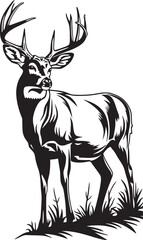Deer vector black and white