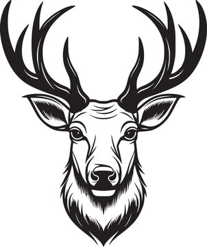 Monochrome deer head with elegant antler