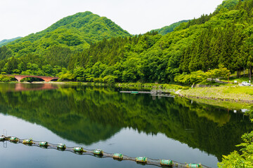 日本の風景・春　新緑のアプトの道　碓氷湖	
