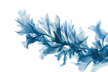 Seaweed Skeleton X-ray Image Isolated on Transparent Background.