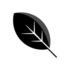 Leaf icon PNG