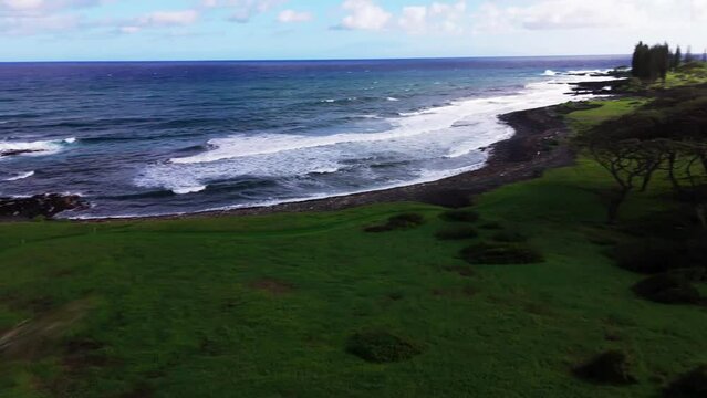 cinematic pull through video of a series of large trees behind a wavy and powerful beach and ocean during the summertime in Huawei.
