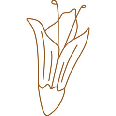 Hand Drawn Flower Line