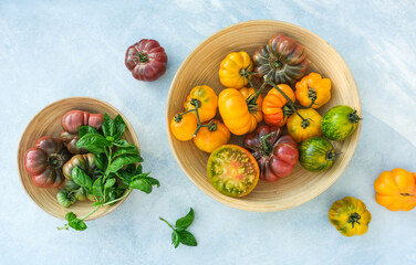 Colorful ribbed tomatoes and fresh basil in a bowl on a blue background. Harvest tomatoes. Seasonal vegetables.