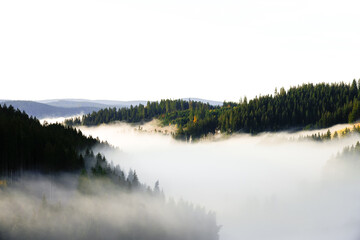 Autumnal landscape in the Black Forest. Nature in the morning with low lying clouds in the valley.
