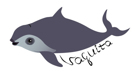 Vector character cute rare marine mammal California porpoise with vaquita lettering. The isolated object is on a white background.