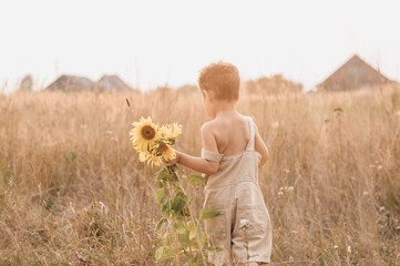 A cute little laughing boy in a field of sunflowers holding a flower in his hands on a sunny summer...