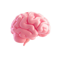 Digitally-rendered pink human brain isolated on Transparent background depicting intellect