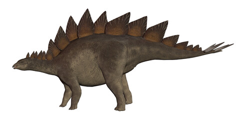 Fototapeta premium Stegosaurus dinosaur 3d render