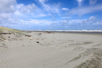 Wunderschöner Strand in Neuseeland mit Möven 