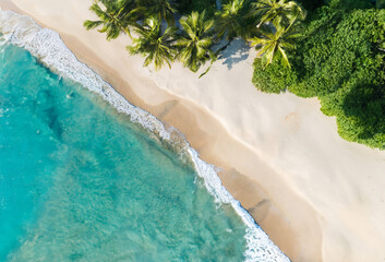 Scenic tropical beach with turquoise water laps at the shore beneath swaying palm trees